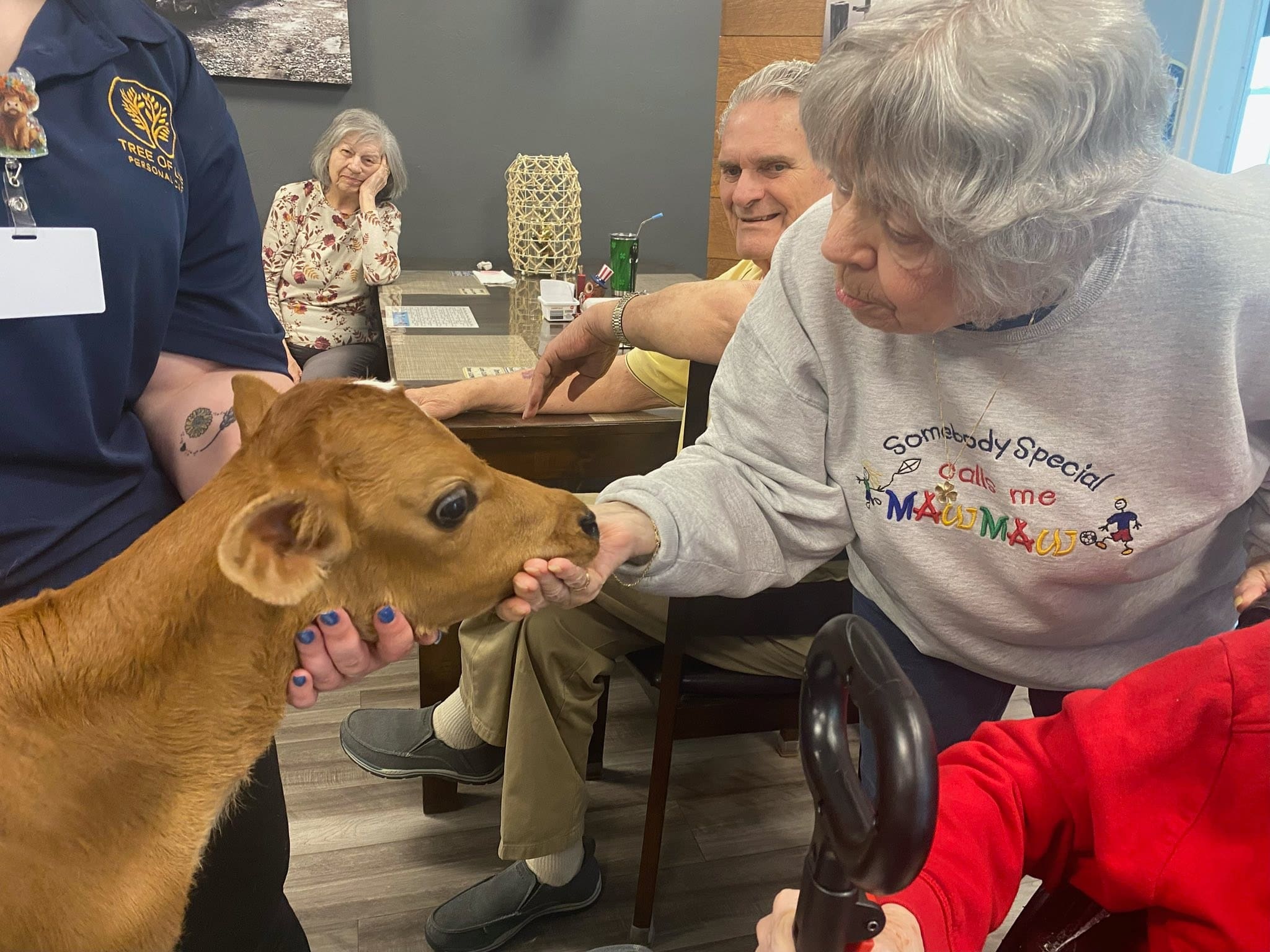 513074444_1032558579029907_4436705660936632286_n Seniors inside a bus